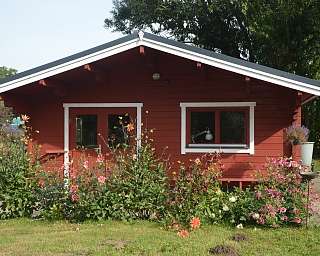 FP Holz 1